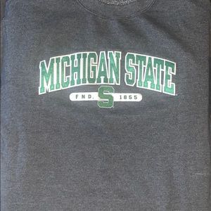 Michigan State Champion Hoodie